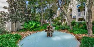 Chestnut Creek Gallery 20