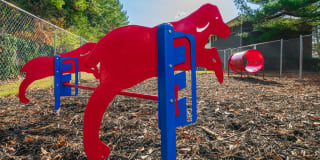 Balfour East Lake Gallery 25