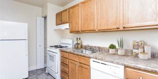 Stevens Walk Gallery 12