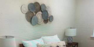 Welcome to Margaritaville 55 + Community Gallery 11
