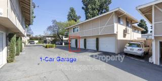 410 N Clark St. Gallery 24