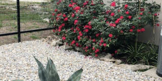 2046 mulberry Gallery 20