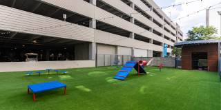 The Standard at Domain Northside Apartments Gallery 10