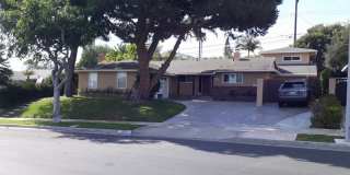 19391 Newhaven Lane Gallery 3