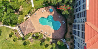 146 PALM COAST RESORT Gallery 79