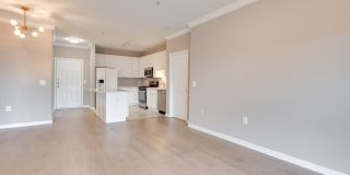 9480 VIRGINIA CENTER Boulevard unit: 308 Gallery 11