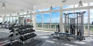 Vu New River Vu New River Gallery 98