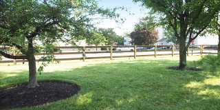 Island Club Gallery 23