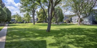 Trace Townhomes Trace Townhomes Gallery 1