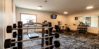 The Element The Element Gallery 4