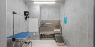 Center & Stone Gallery 66