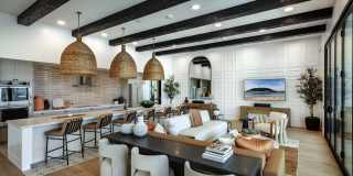 Luma at El Corazon Gallery 15