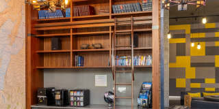 True North Gallery 10