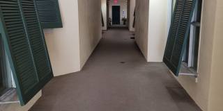 Live the Bayshore Boulevard / Soho Lifestyle, in Style! Gallery 18