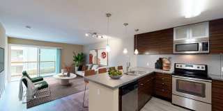 CitySouth Gallery 18