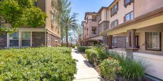 Meadow Square Apartment Homes - Affordable Housing Gallery 2
