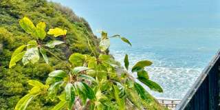 Steps to the beach from this Ocean View Condo with 2 car garage Gallery 1