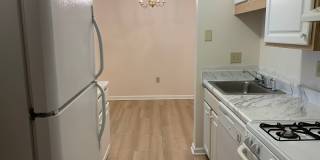 1 BR, 1 BA Condo-3rd floor *Fresh paint throughout! * Easy to clean flooring only one year old. Pool Access. On site dumpster. Gallery 4