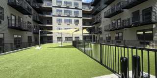 The Marquis Gallery 17