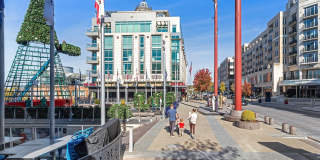 147 WATERFRONT Street Gallery 55