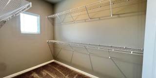 Mangold831 (KC-LN) Gallery 46