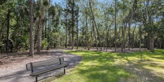 Grand Cypress Gallery 46