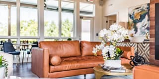 Virtuoso Apartments Gallery 17