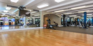 The Piero Gallery 95