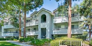 Great Location overlooking park and pool Gallery 1
