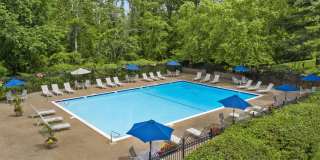 Renaissance Club Gallery 9