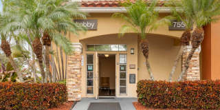 Fort Lauderdale - Davie Gallery 10