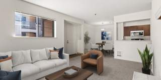 Signature Pointe Signature Pointe Gallery 17