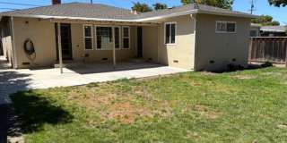 Updated 3BR/2BA Single Family Home in Prime Sunnyvale Location - Large Yard Updated 3BR/2BA Single Family Home in Prime Sunnyvale Location - Large Yard Gallery 1