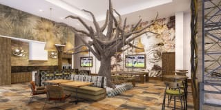 Broadstone Atlas Gallery 1