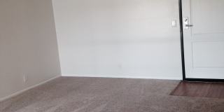 Woodland Gallery 33