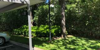 Hillgrove Creek Gallery 16