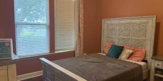 2401 GOLDENROD Way Gallery 29