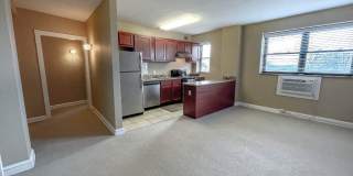 Convent Gardens Gallery 28