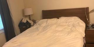 8320 BROOKVALE Court Gallery 17