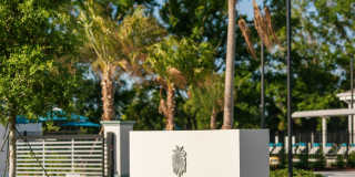 Isla Palmetto Gallery 17