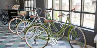 Novel Cary Gallery 31