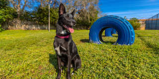 The View at Waters Edge Gallery 38