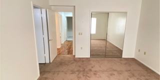 9012 STARMOUNT Drive Gallery 12