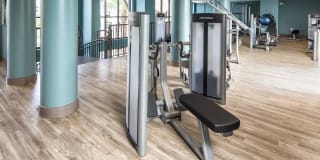 2Bayshore Gallery 50