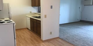 Prairie Tree Gallery 3