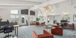 Arrive Magnolia Gallery 49