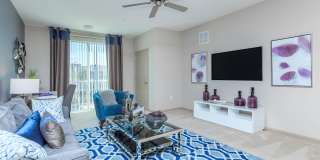 RIZE at Winter Springs Gallery 43