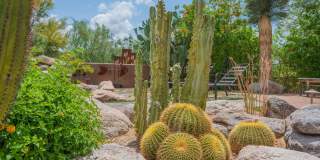 8193 E SAND FLOWER Drive Gallery 102