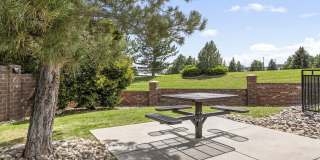 Camden Caley Gallery 27