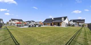 Amazon Falls Gallery 45